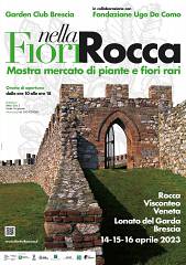 Fiori nella rocca